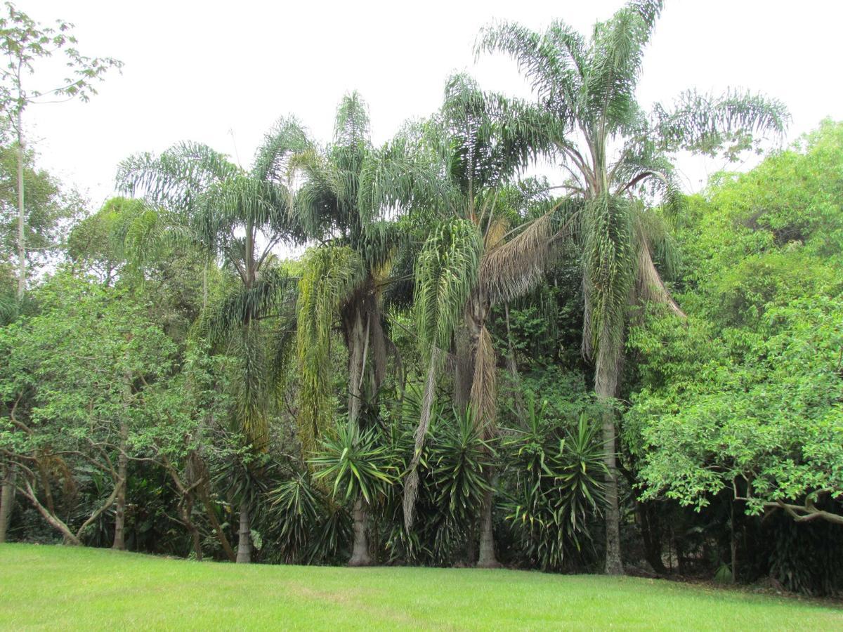 Relicario Río de Janeiro